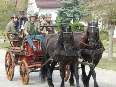 Foto des Albums: 700 Jahre Krampfer