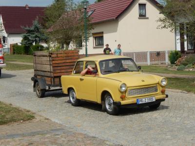 Foto des Albums: 700 Jahre Krampfer