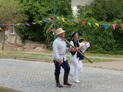 Foto des Albums: 700 Jahre Krampfer