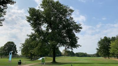 Foto des Albums: Golfturnier