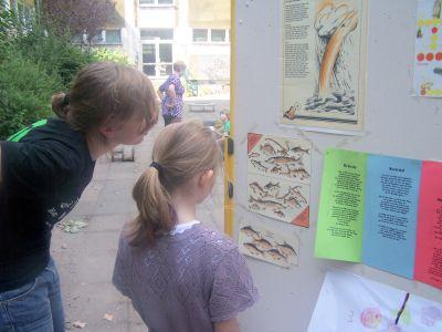 Foto des Albums: Sommerfest an der Rosa-Luxemburg-Grundschule - Serie 1 (11.07.2008)