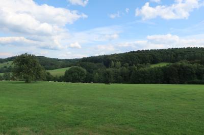 Vorbei an unber&uuml;hrter Natur  (Bild vergr&ouml;&szlig;ern)