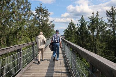Baumwipfelpfad Panarbora  (Bild vergr&ouml;&szlig;ern)