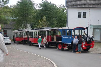 Waldbr&ouml;ler Bummelzug  (Bild vergr&ouml;&szlig;ern)