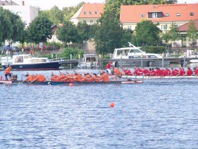 Foto des Albums: 8. Werderaner Drachenboot-Cup - Serie 5 (12.07.2008)