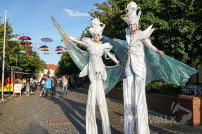 Foto des Albums: Impressionen vom Herbstleuchten 2019 Teil 1