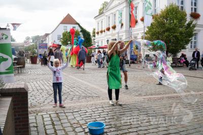 Foto des Albums: Impressionen vom Herbstleuchten 2019 Teil 1