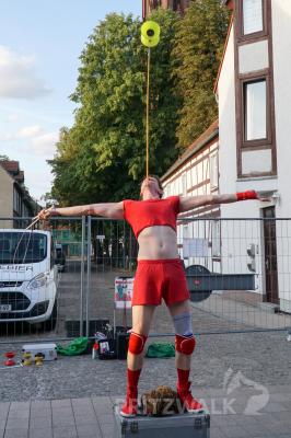 Foto des Albums: Impressionen vom Herbstleuchten 2019 Teil 1