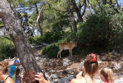 Foto des Albums: Familienrüstzeit Kroatien 2019