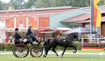 Foto des Albums: WM Zweispänner 2019 Dressur (13.09.2019)