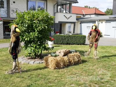 Foto des Albums: Fröhliches Dorf- und Erntefest in Steffenshagen