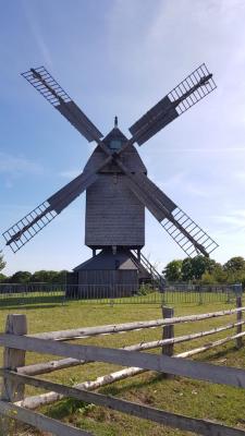 Foto des Albums: Tagesausflug der 3. Klassen Freilichtmuseum Detmold