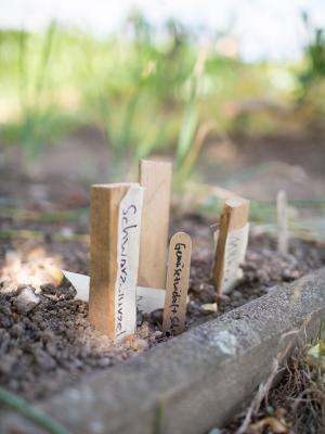 Foto des Albums: Impressionen Schulhof