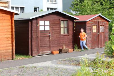 Foto des Albums: Schulsportfest