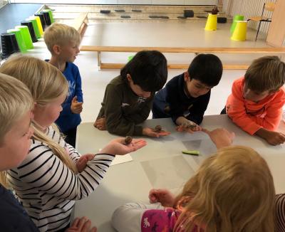 Foto des Albums: Schnecken-Projekt der GE- Schule