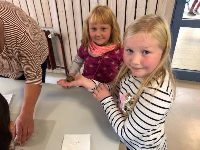 Foto des Albums: Schnecken-Projekt der GE- Schule