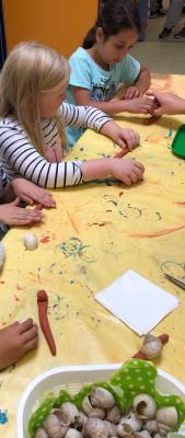 Foto des Albums: Schnecken-Projekt der GE- Schule