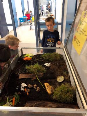 Foto des Albums: Schnecken-Projekt der GE- Schule