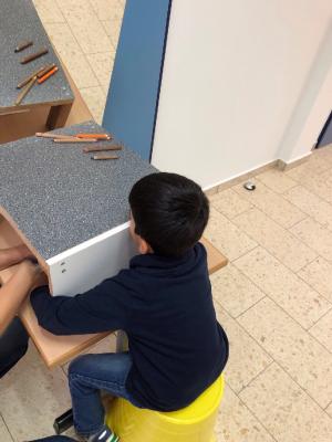 Foto des Albums: Schnecken-Projekt der GE- Schule