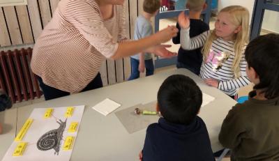 Foto des Albums: Schnecken-Projekt der GE- Schule