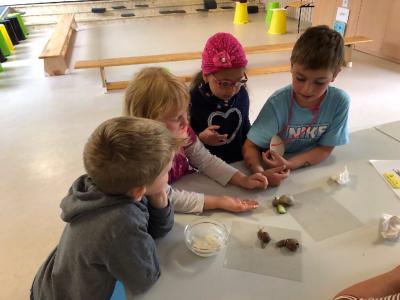 Foto des Albums: Schnecken-Projekt der GE- Schule