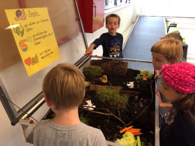 Foto des Albums: Schnecken-Projekt der GE- Schule