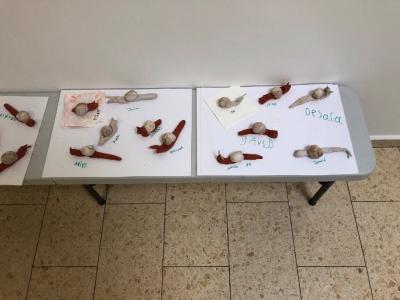 Foto des Albums: Schnecken-Projekt der GE- Schule