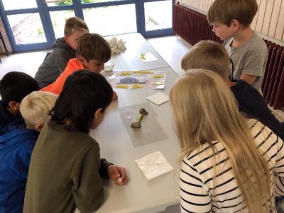Foto des Albums: Schnecken-Projekt der GE- Schule