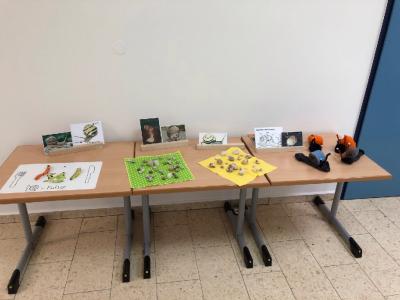 Foto des Albums: Schnecken-Projekt der GE- Schule