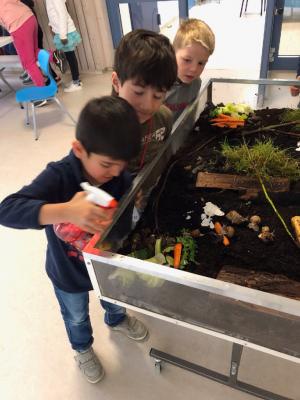 Foto des Albums: Schnecken-Projekt der GE- Schule