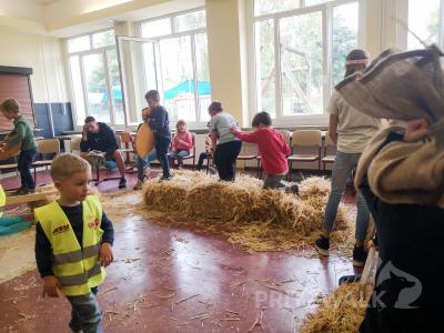 Foto des Albums: Herbstzauber im Kinderland