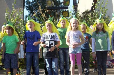 Foto des Albums: Herbstfest