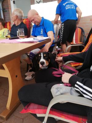 Foto des Albums: Senioren Cup 2019