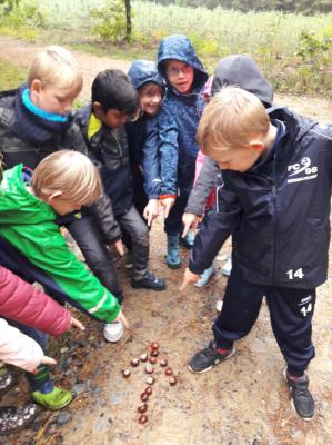 Foto des Albums: Fotos- Herbstprojekt Klasse 1b und FLEX B