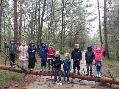 Foto des Albums: Fotos- Herbstprojekt Klasse 1b und FLEX B