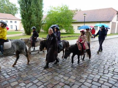 Foto des Albums: Historischen Erntefest 2019 - Eröffnung und Ernteumzug (29.09.2019)