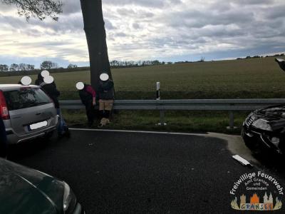 Foto des Albums: Einsatz 2315-H-VU mit P-OV B 96 Abzw. Gu-Germendorf - Gransee