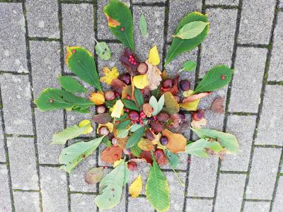 Foto des Albums: Herbst-Mandalas