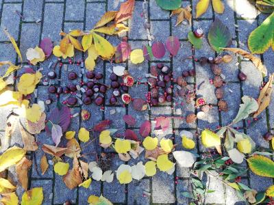 Foto des Albums: Herbst-Mandalas