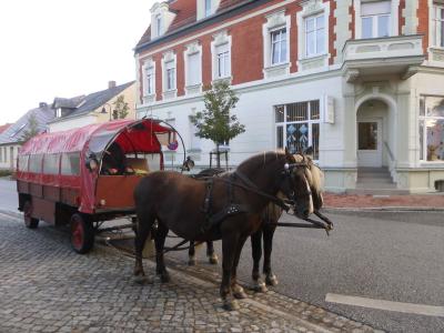 Foto des Albums: Herbstfest 02.10.2019