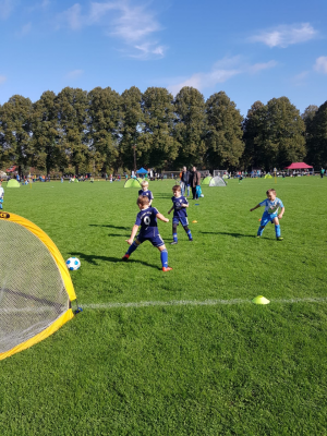 Foto des Albums: #BEACTIVE 2019 - Falkensee bewegt sich