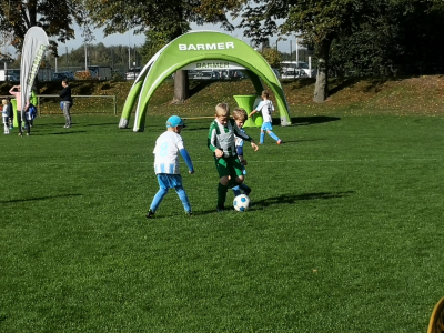 Foto des Albums: #BEACTIVE 2019 - Falkensee bewegt sich