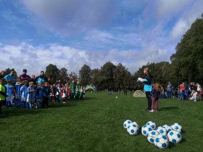 Foto des Albums: #BEACTIVE 2019 - Falkensee bewegt sich