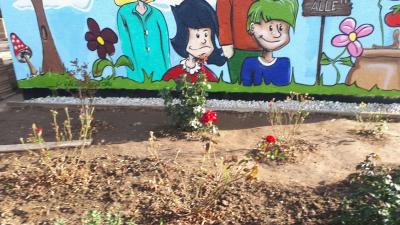 Foto des Albums: Graffitiworkshop in Garten 20