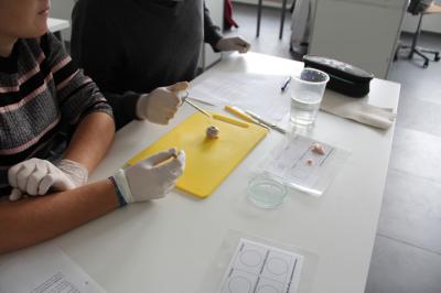 Foto des Albums: MINT-Projekttag 2019