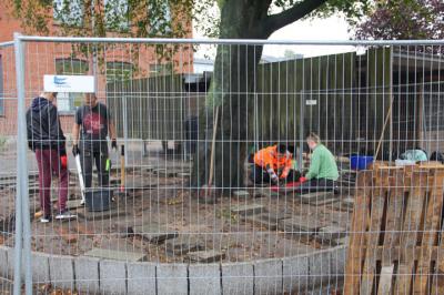 Foto des Albums: MINT-Projekttag 2019