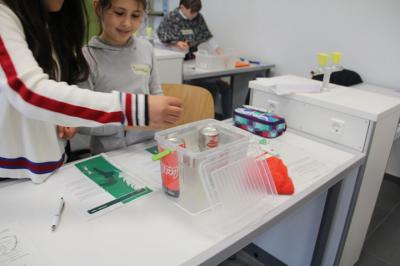 Foto des Albums: MINT-Projekttag 2019