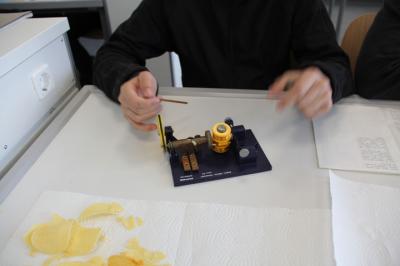 Foto des Albums: MINT-Projekttag 2019