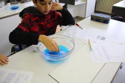 Foto des Albums: MINT-Projekttag 2019