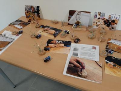 Die Ergebnisse des MINT-Projekts 